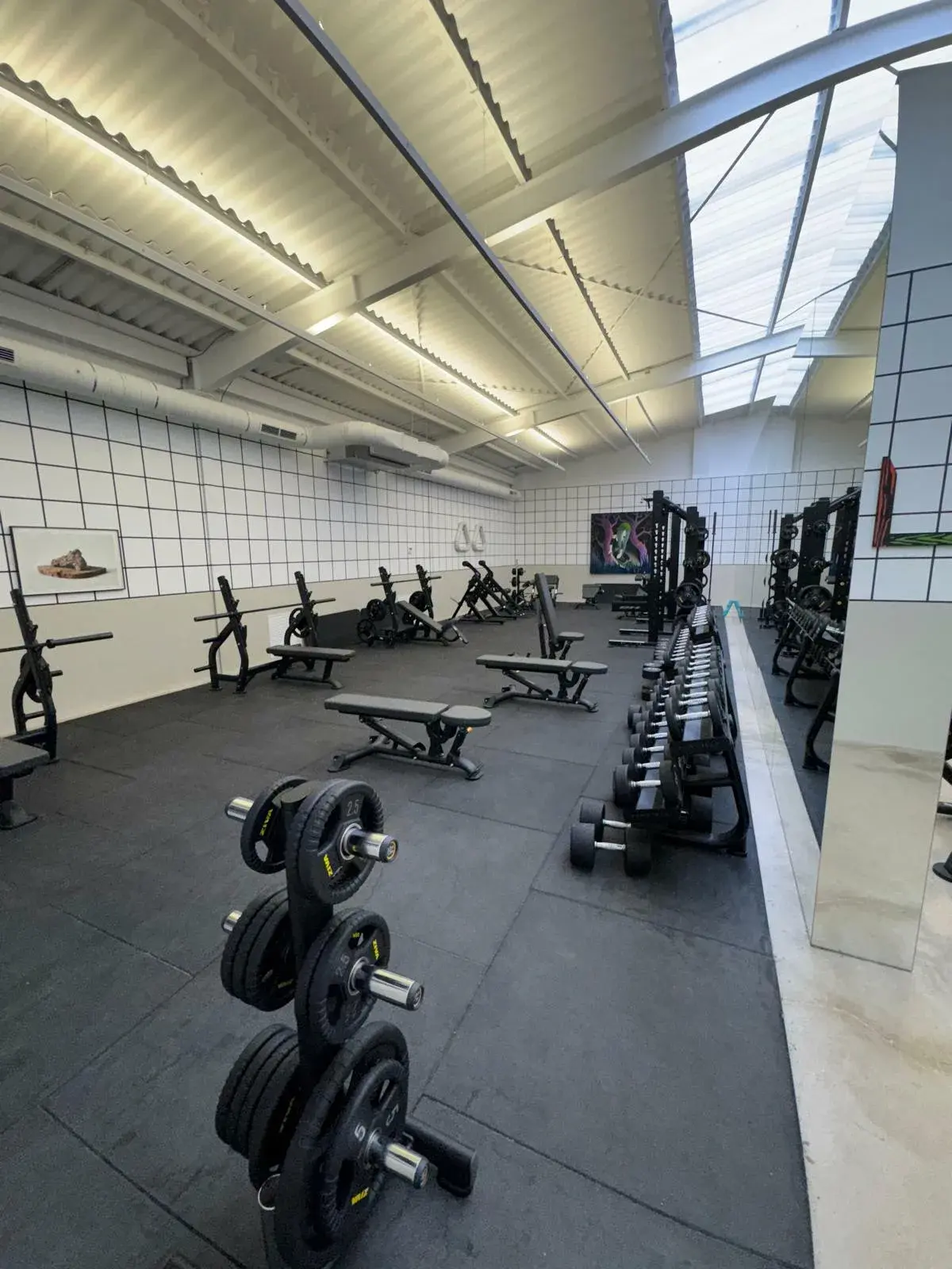 Zona de peso libre del gimnasio Premier